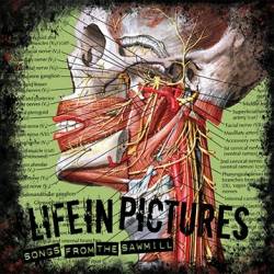 Life In Pictures : Songs From The Sawmill